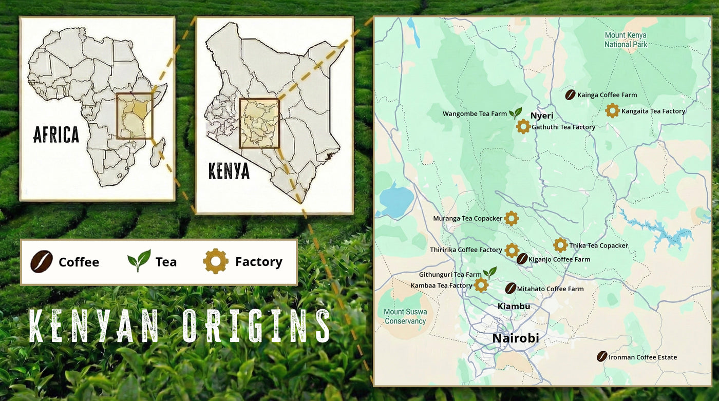 Map of Kenya showing our farming regions